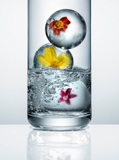 Image of Abstract Ice Floral Collection craft ice cubes in a glass
